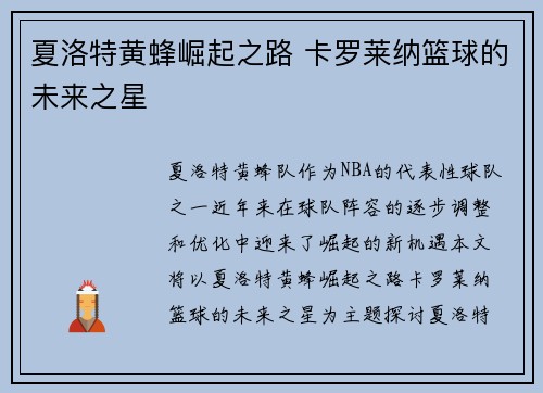 夏洛特黄蜂崛起之路 卡罗莱纳篮球的未来之星